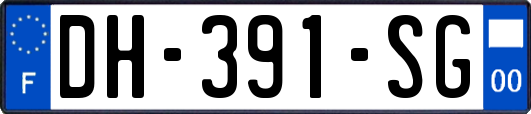 DH-391-SG