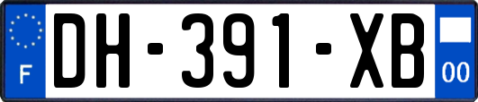 DH-391-XB