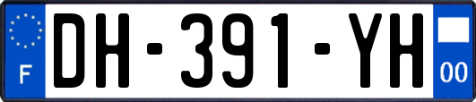 DH-391-YH