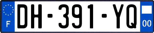 DH-391-YQ