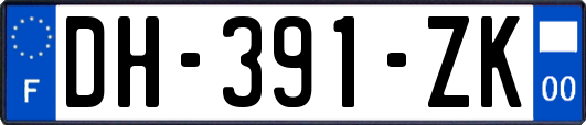 DH-391-ZK