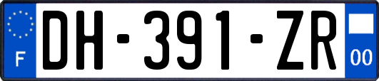 DH-391-ZR