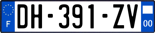 DH-391-ZV