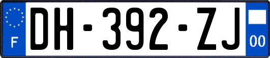 DH-392-ZJ