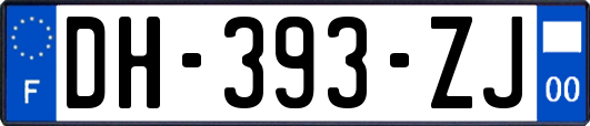 DH-393-ZJ