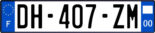 DH-407-ZM