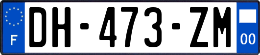 DH-473-ZM