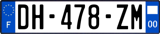 DH-478-ZM