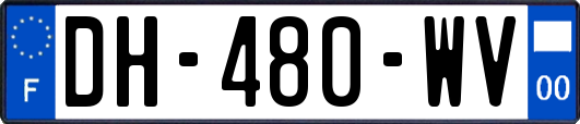 DH-480-WV