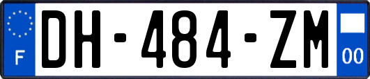 DH-484-ZM