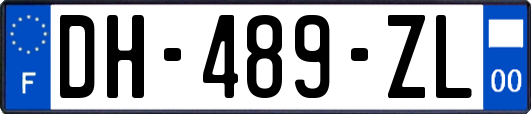 DH-489-ZL