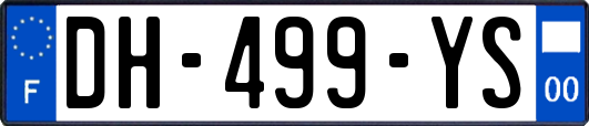 DH-499-YS