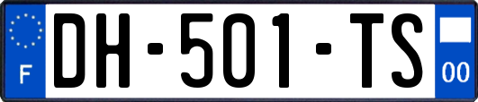 DH-501-TS