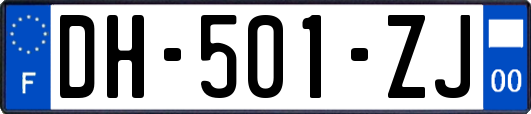 DH-501-ZJ