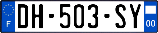 DH-503-SY