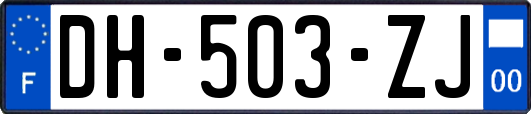 DH-503-ZJ