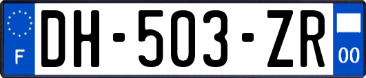 DH-503-ZR