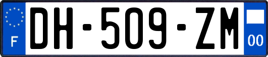 DH-509-ZM