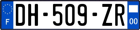 DH-509-ZR