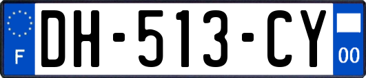 DH-513-CY