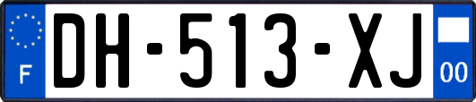 DH-513-XJ