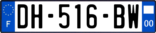 DH-516-BW