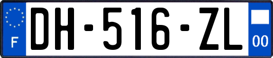 DH-516-ZL