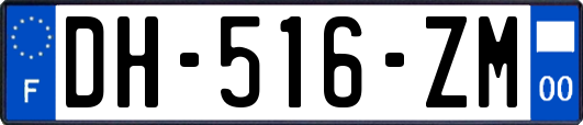 DH-516-ZM