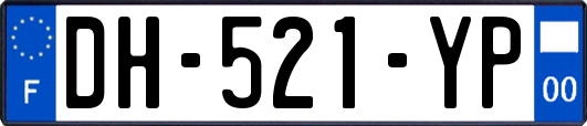 DH-521-YP