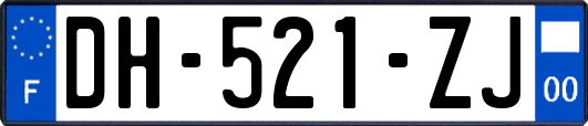 DH-521-ZJ