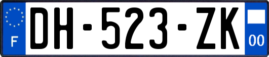 DH-523-ZK