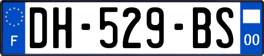 DH-529-BS