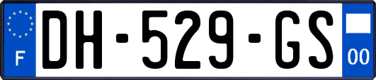DH-529-GS