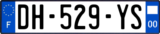 DH-529-YS