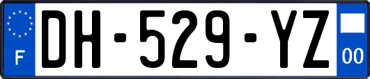 DH-529-YZ