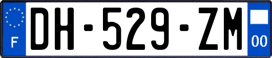 DH-529-ZM