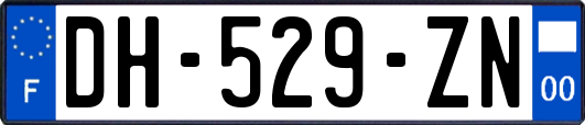 DH-529-ZN