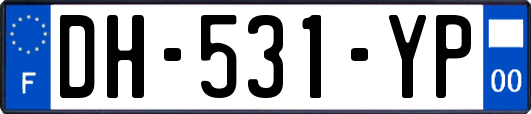 DH-531-YP