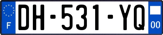 DH-531-YQ