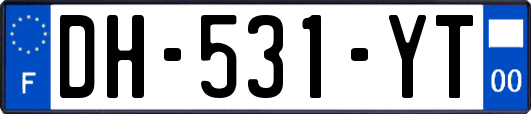 DH-531-YT