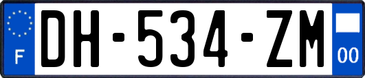 DH-534-ZM