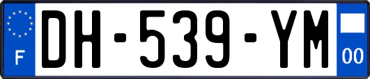 DH-539-YM