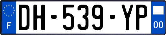 DH-539-YP