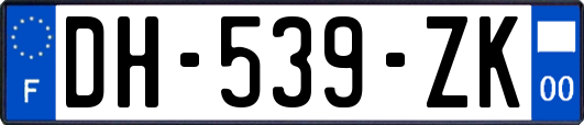 DH-539-ZK