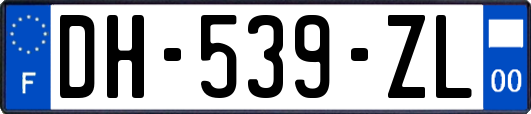 DH-539-ZL