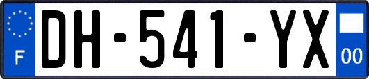 DH-541-YX