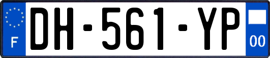 DH-561-YP
