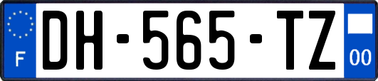 DH-565-TZ