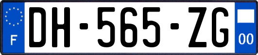 DH-565-ZG