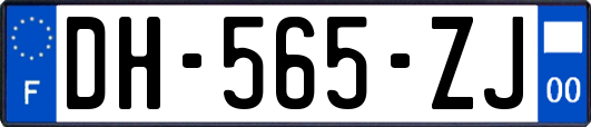 DH-565-ZJ